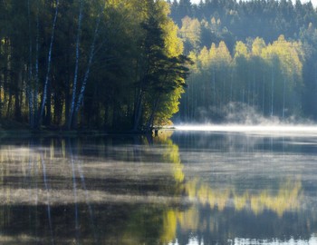 Утреннее.......... / Петербург. Юкки. Май