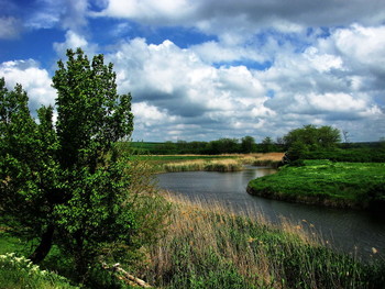 Цветущий май... / Река,поворот,дерево,небо,облака