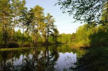 Весна на реке / Подмосковье ,река Нерская ,район пруда в Анцыферово ,Егорьевское шоссе .