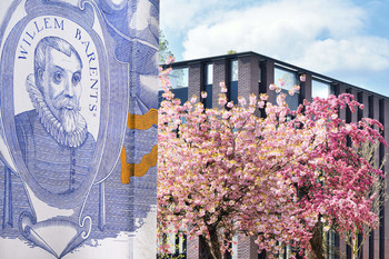 Взгляд на цветение / Амстердам