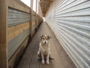 Встреча2 / Встреча2