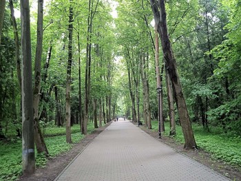  / Светлый майский день в Филевском парке Москвы