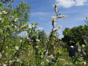 За окошком месяц май / майский день