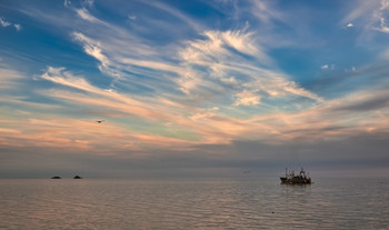 рабочие будни / Летом, на лососёвой путине, Охотское море.