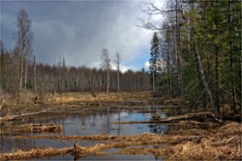 Глухомань. Апрель / ***