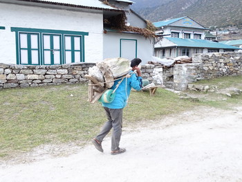 Не кудрявая жизнь / Непал. Деревня на высоте примерно 3500 м. Рабочие по укладке камней.