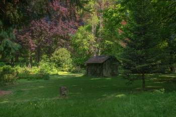 &nbsp; / Die Hütte im Sommerwald.
Gefunden in einem Baumpark mit vielen Nordamerkanischen Bäumen.
Wurde angelegt von einer botanischen Liebhaberin im 17. Jahrhundert.