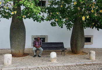 Не кудрявая жизнь / Кашкайш, Португалия