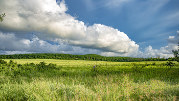 Лето / Кубань