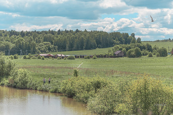 Подмосковье / Летняя картинка