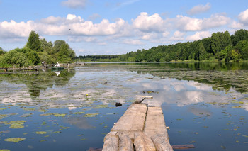 Летом на озере / Июньское утро на озере Пиявочном