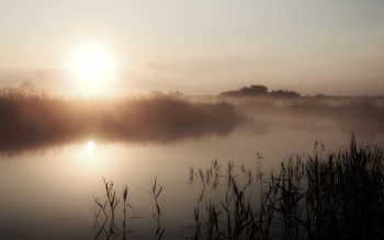 Мир в утреннем тумане / ***