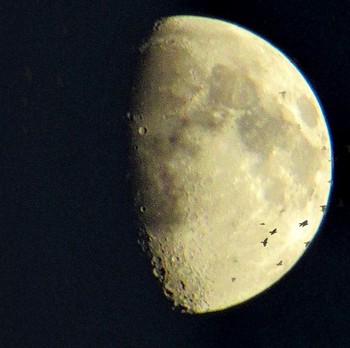 Луна на Троицу / Белые ночи, Троица, Луна.