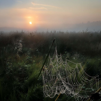 Рассветное мгновение.... / ***