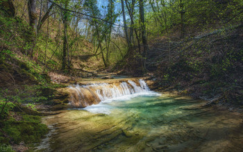 У весеннего порога / Краснодарский край, окрестности Геленджика, конец апреля в верховьях реки Жане, весьма богатой на красивейшие водопады и пороги.