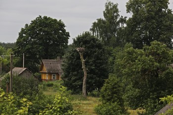 деревня / Беларусь