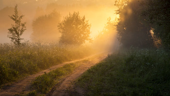 Летнее утро / утро, туман, свет, Фрязино, Гребнево