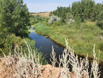 Природа Оренбурга / Речка в Оренбургской области