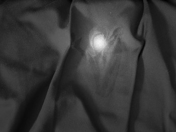 &nbsp; / There is a light