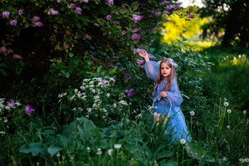 Сбор цветов сирени / модель Вика Киселёва
платье предоставлено фотостудией «Косплей»