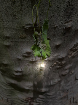 &nbsp; / Life in texture