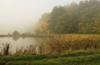 У озера .. / Когда уходящему туману приходит солнышко . Осенний пейзаж.