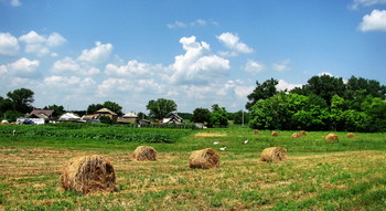 Жизнь села / Село,поле,скошенная трава