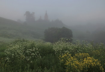 В густом тумане / Московская область. Туманное утро.