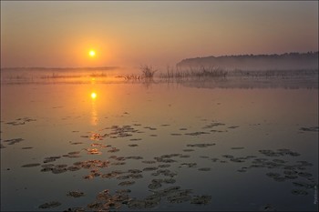 Старица. Рассвет в линейном мире / Утро северных болот.