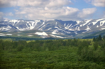  / Пайпудынский хребет, Полярный Урал. Июль.