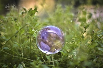 &nbsp; / Eine Seifenblase aus Glas