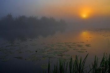 Солнце встало. / Летний рассвет Озеро Сосновое.