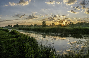 &nbsp; / 11.07.2021. річка Остер, село Пушкарі, Чернігівщина.