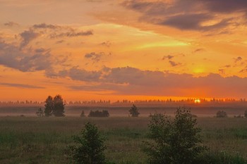 Рождение нового дня / Ленинградская область