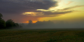 Рассвет в поле. / Мрачное утро в поле.
