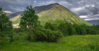 К дождю. / Хибины. Кольский п-ов.