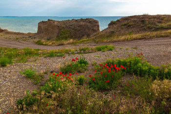 Крымское лето состоит из... / Крымское лето состоит из свежего морского воздуха, диких степных маков, теплого солнца и щебета скворцов