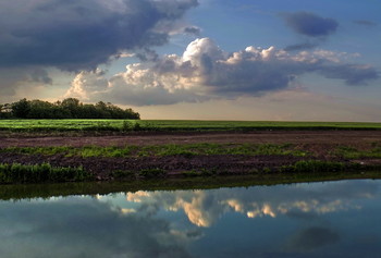 Отражение / Поле,берег,облака,деревья,отражение облаков