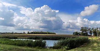 У пруда / Пруд,поле,деревья,облака