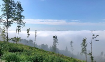 Туман в долине гор / Небольшой ветерок и солнце &quot;срезало&quot; макушку тумана на уровне гор, которые на заднем плане. НМВ получилось как составное фото.. :)