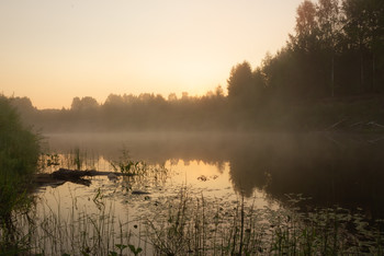 Утренний туман / река Нея, Костромская область