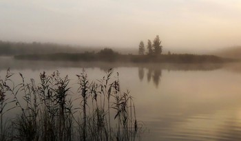 Утреннее озеро / ***