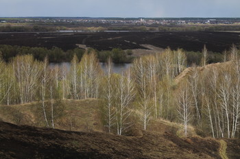 Весенний пейзаж в Луховицком районе (Московская область) / Весенний пейзаж в Луховицком районе (Московская область)