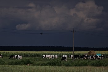 жизнь в деревне / Беларусь