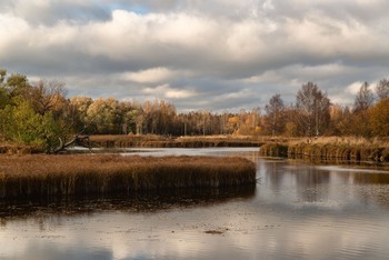 Р. Теплая в гатчинском парке &quot;Зверинец&quot; / Парк &quot;Зверинец&quot; - бедный родственник парадных гатчинских парков. По сути - участок леса, поделенный на кварталы дорожками. Берега речки Теплой, пересекающей парк, местами сильно заболочены. В общем, полный антипод фасадным гатчинским паркам.