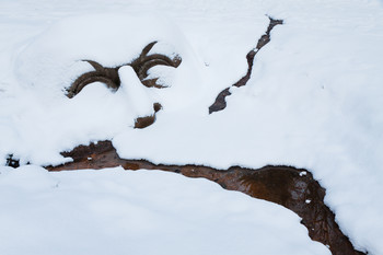 Там чудеса: там леший бродит...- 4 / ...