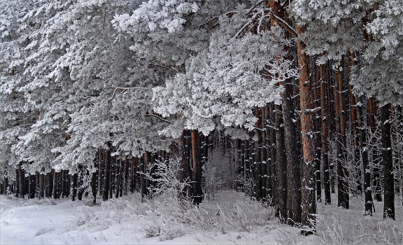 Магия предков: Как защитить себя и близких от лютого холода с помощью древних оберегов