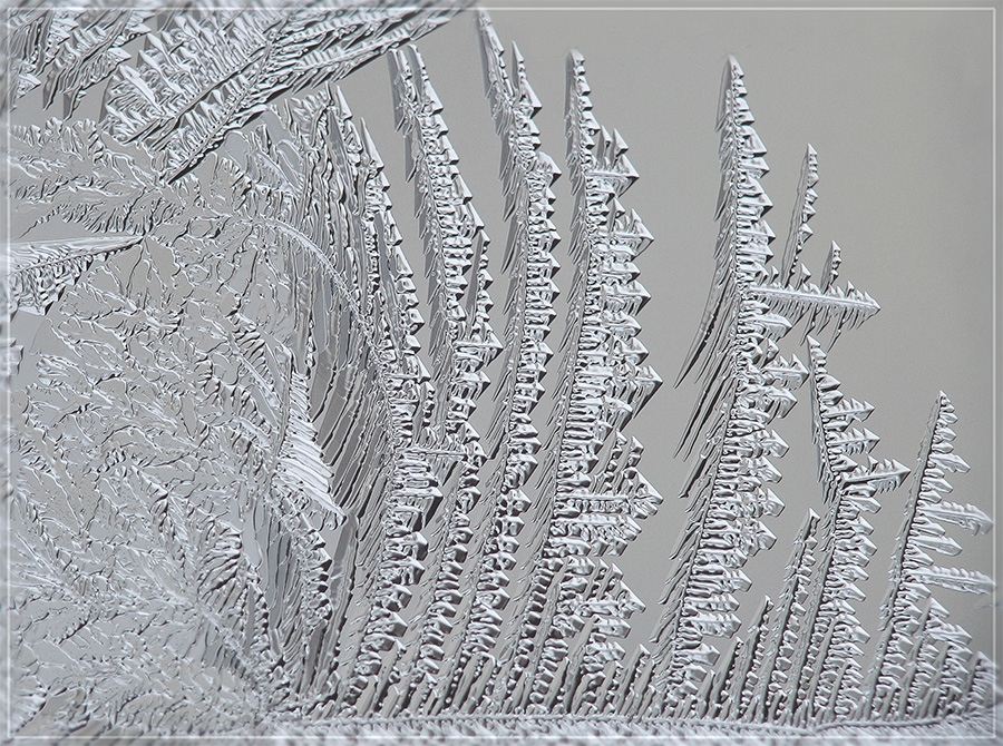 хрустальная зима. морозные цветы. иней на ветках. хрусталь зимы. хрусталь зимы.