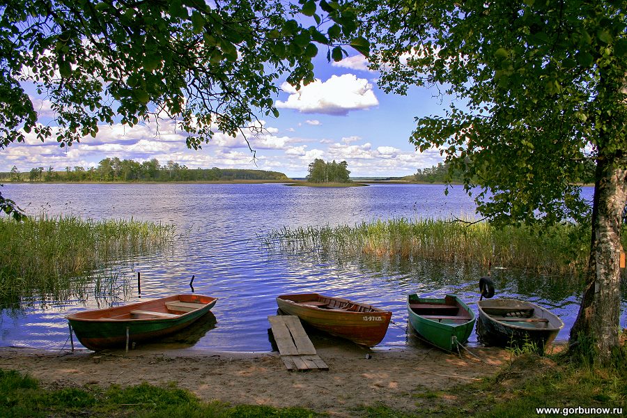 Селигер отдых на озере фото