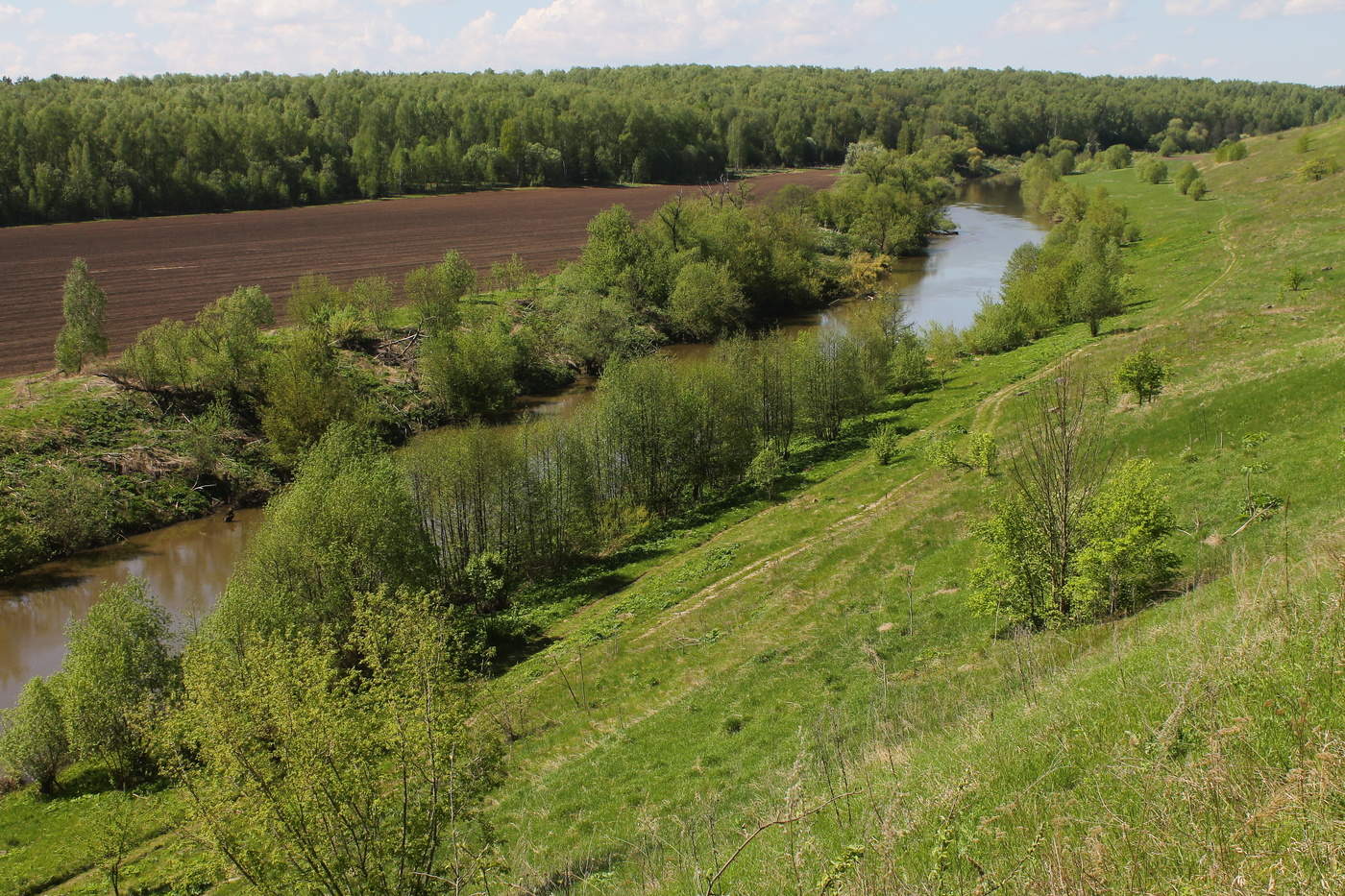 москва река осетр